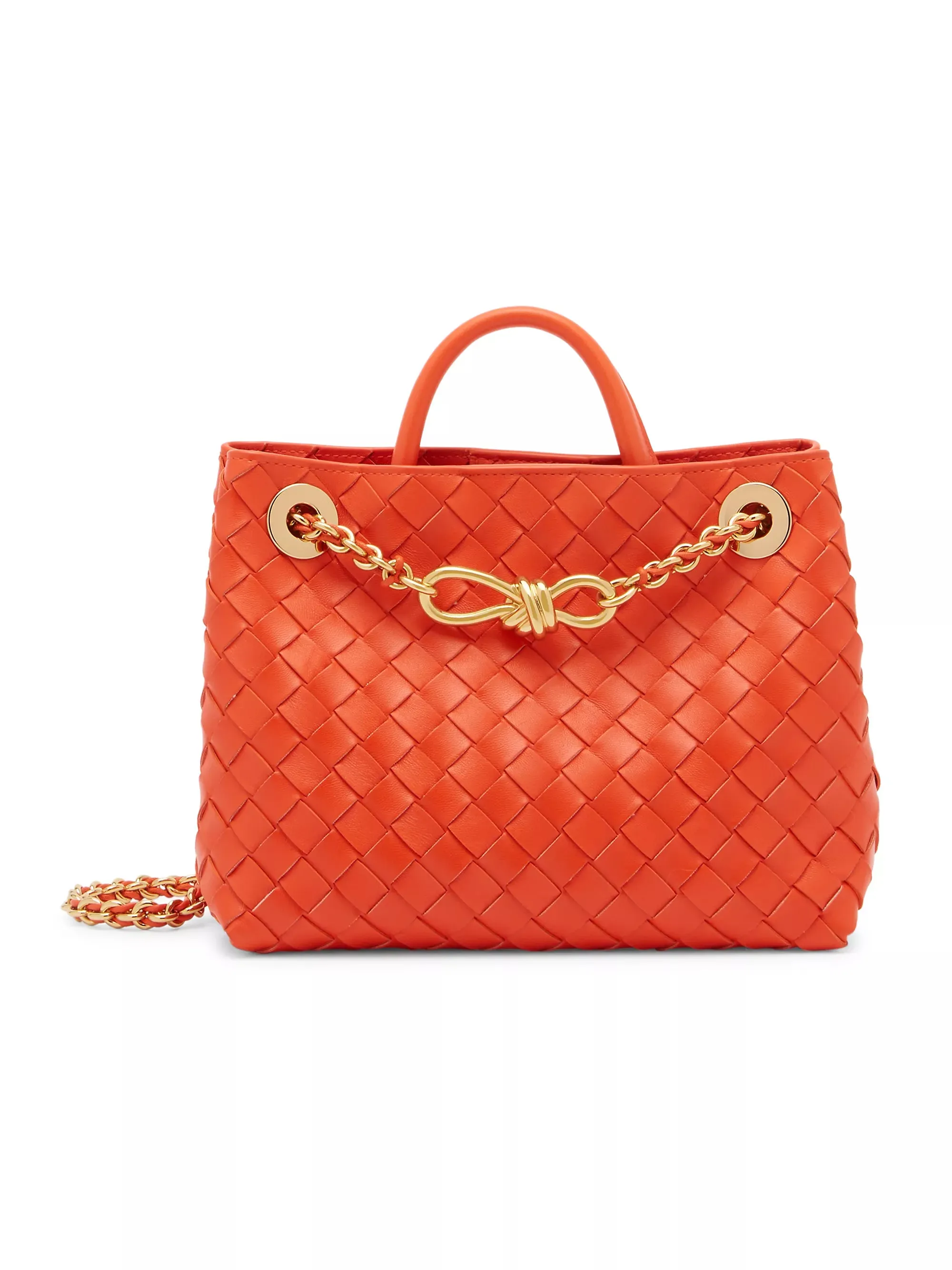 Bottega Veneta Small Andiamo Chain Bag