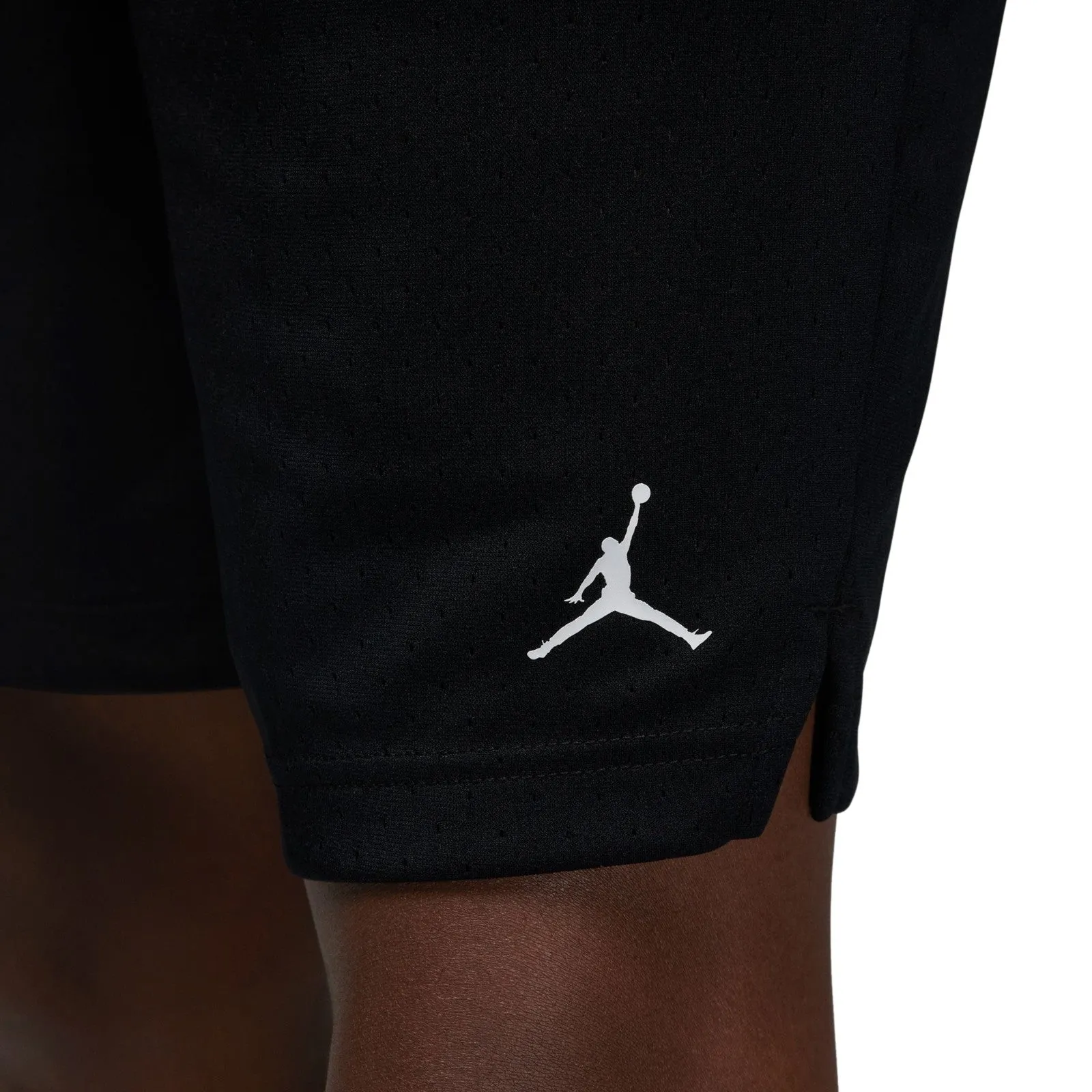 Jordan Dri-FIT Sport Men's Mesh Shorts Men's's FN5816-010